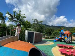 -风云岭森林公园