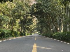 -南京东郊国宾馆