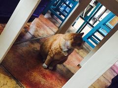 iphone_upload_pic-Sirena海妖日咖夜酒