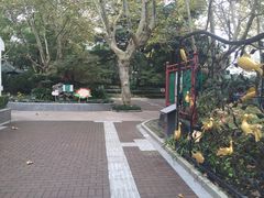 -华山儿童公园