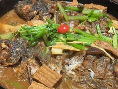 -老板恋上鱼(恒隆广场店)