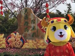-天适樱花悠乐园