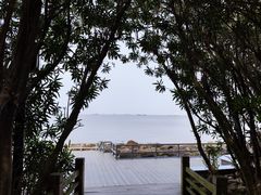 -上海吴淞炮台湾国家湿地公园