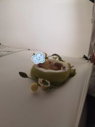 -玛瑞莎孕婴童摄影到家拍