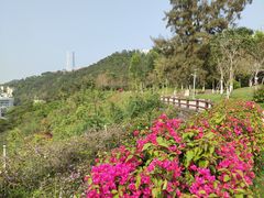 -狐尾山公园