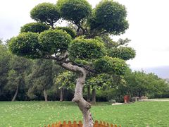 -无锡梅园公园