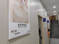 -爱佳宠物中心医院24H·CT·骨外科·猫专科(瑶海万达店)