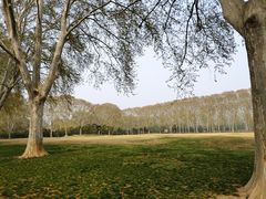 -河南省黄河迎宾馆