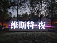 -维斯特·夜烤牛肋条任吃