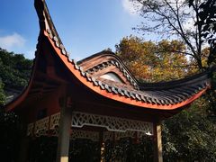 -菊花台公园
