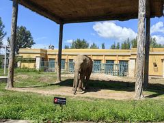 -哈尔滨北方森林动物园