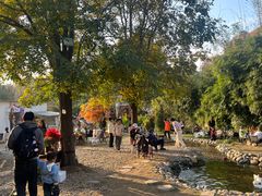 -HERRE·FARM 赫尔露营农场·团建聚会包场