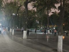 -莲湖公园