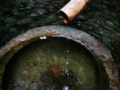 -十八棵（老龙井）御茶园(老龙井店)