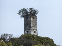 -江心屿景区