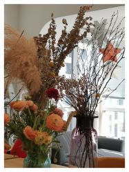 -净漪造型 PURE RIPPLE