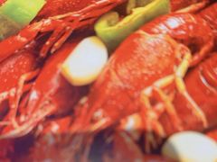 -杨氏青龙虾·羊蝎子(托乐嘉店)
