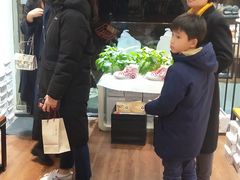 -Feiyue飞跃(长乐路店)