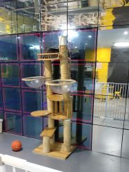 -神奇动物撸宠馆·羊驼·小浣熊·异宠(豫园店)