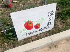 -江海肥牛(桃园南路店)