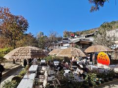 -塔川景区