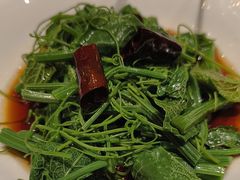 炝拌丝瓜尖-西贝(华发商都店)
