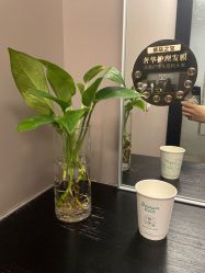 -史云逊养发护发