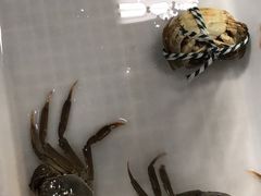 -渔人湾码头海鲜市场负二楼