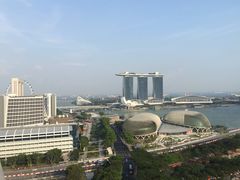 史丹福瑞士酒店-新加坡瑞士史丹福酒店