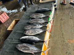 -尼甘布海鲜市场