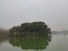 -大兴滨河森林公园