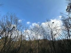 -青龙山国家森林公园