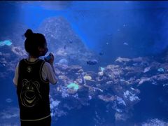 -华夏文旅海洋公园