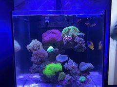 -Rabbit Cafe私房西餐甜点咖啡(栖霞路店)