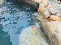 -凤翔首邑温泉度假村