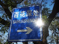 -百花深处胡同