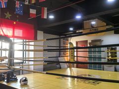 -成泰格斗(环球商业广场店)