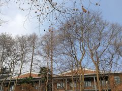-浙江大学(玉泉校区)