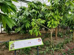 -歌斐颂巧克力小镇