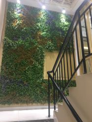 -星豆豆儿童摄影(南郊太白南路店)