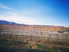 -新疆天山野生动物园