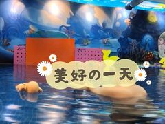 -ABC Swim亲子游泳俱乐部(河西店)