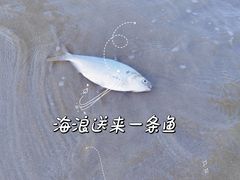 -椰风寨