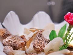 六种菌子拼盘-名善山珍·野生菌汤锅(文殊院店)