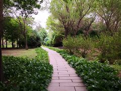 -长春公园(普阳街道)