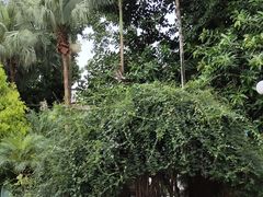 -人民公园(罗湖区)