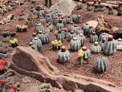 -南通洲际绿博园