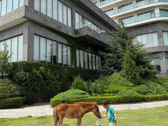 -青岛银沙滩温德姆至尊酒店