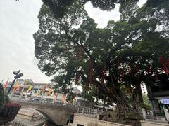 -荔湾湖公园