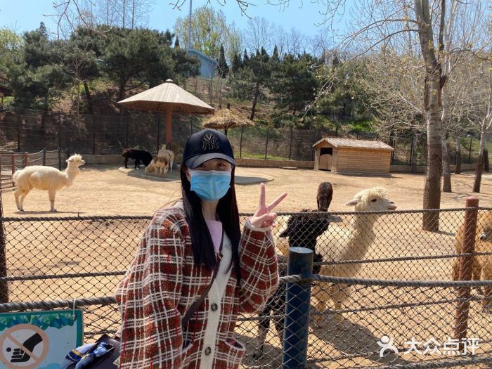 大连森林动物园图片